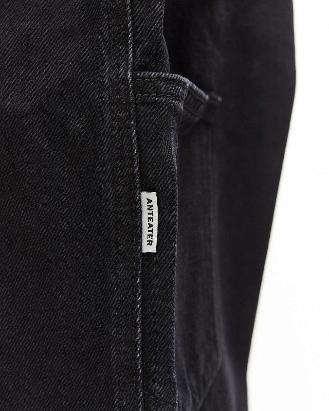 Джинсы Anteater Work Pants