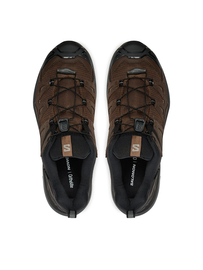 Кроссовки Salomon X Ultra 360 Leather Gore-Tex Dark Earth/Delicioso/Sharkskin